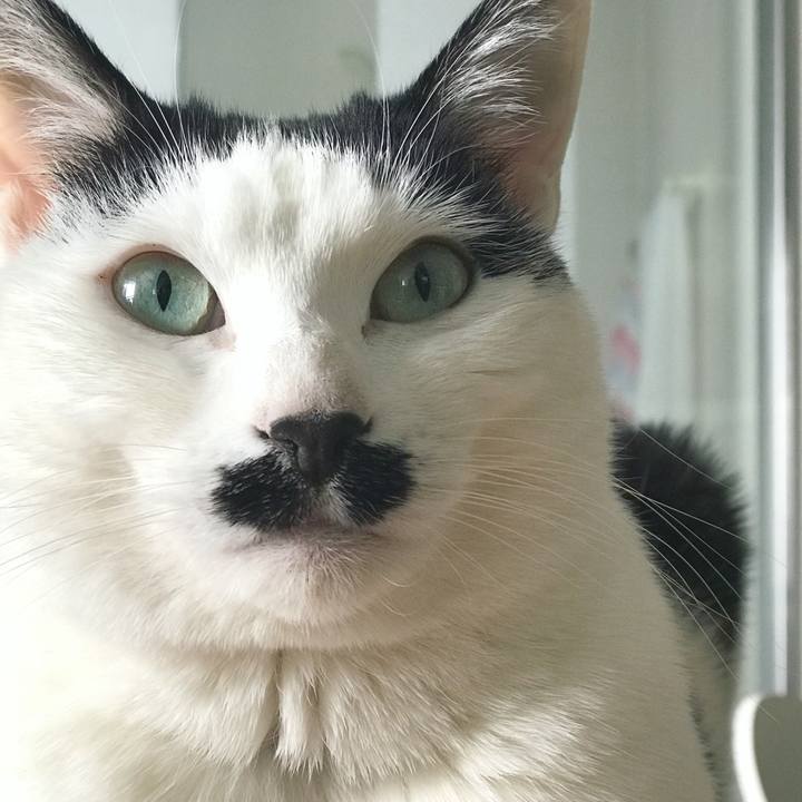 2924aac7 35e0 49da bb6f ddac0f662128 1524394581795