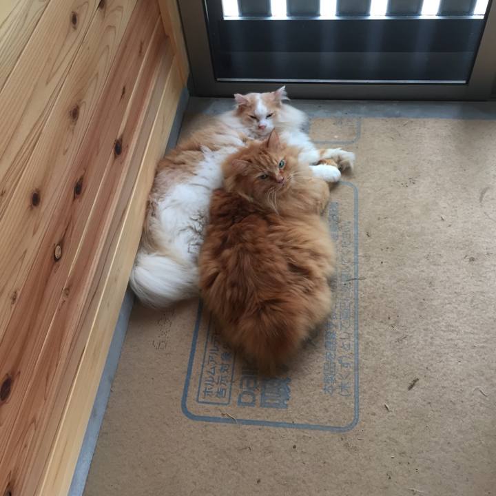 2924b669 9a3f 4b44 bca6 8c5bd1103979 1567636016833