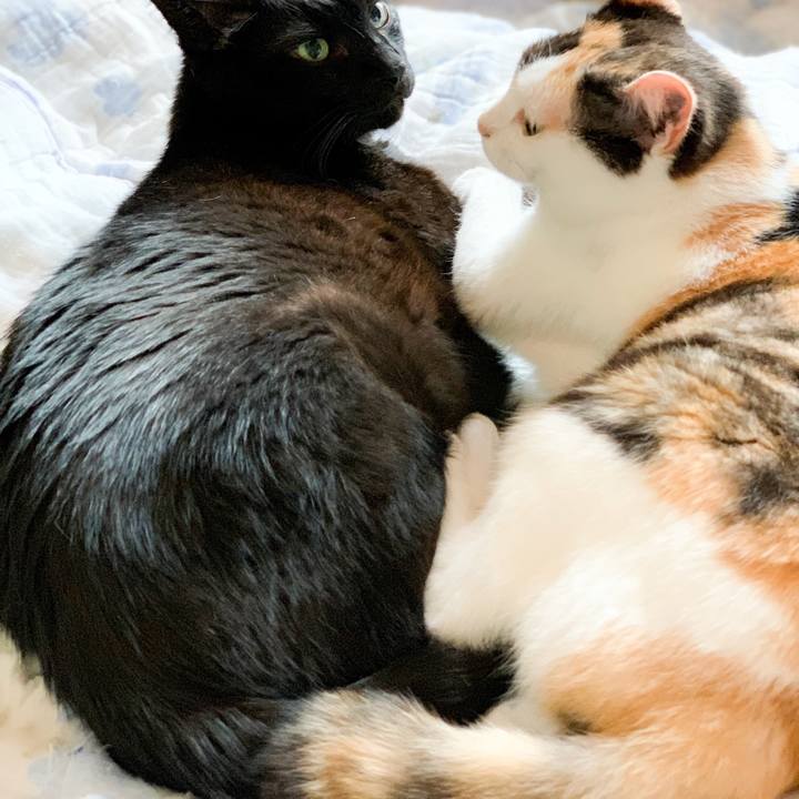 2924b78a 8f91 4a61 874d bef63d8b446e 1564362508199