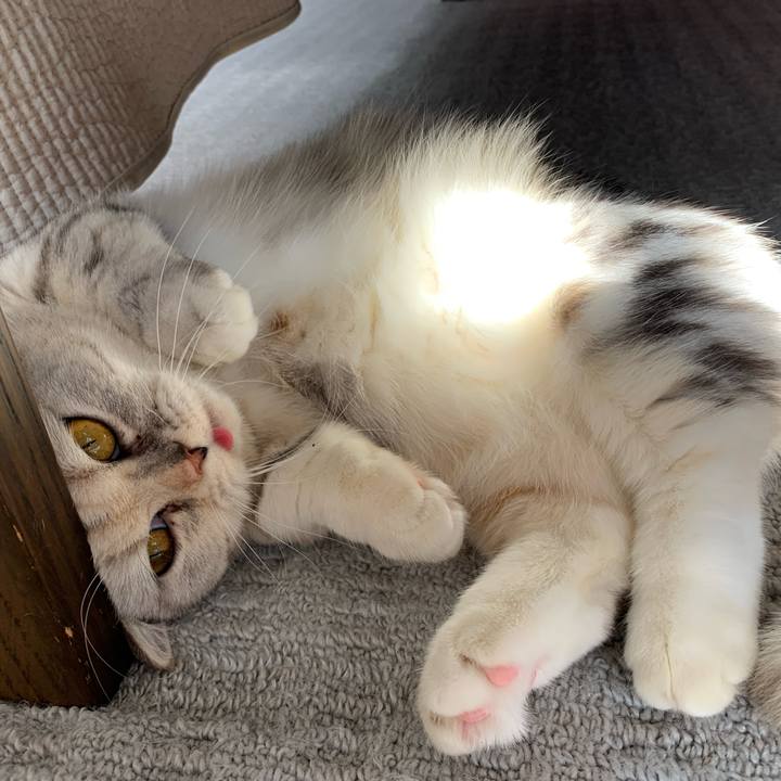 2924d2ec af44 4fa5 b4ee 20dc25869572 1710718251824