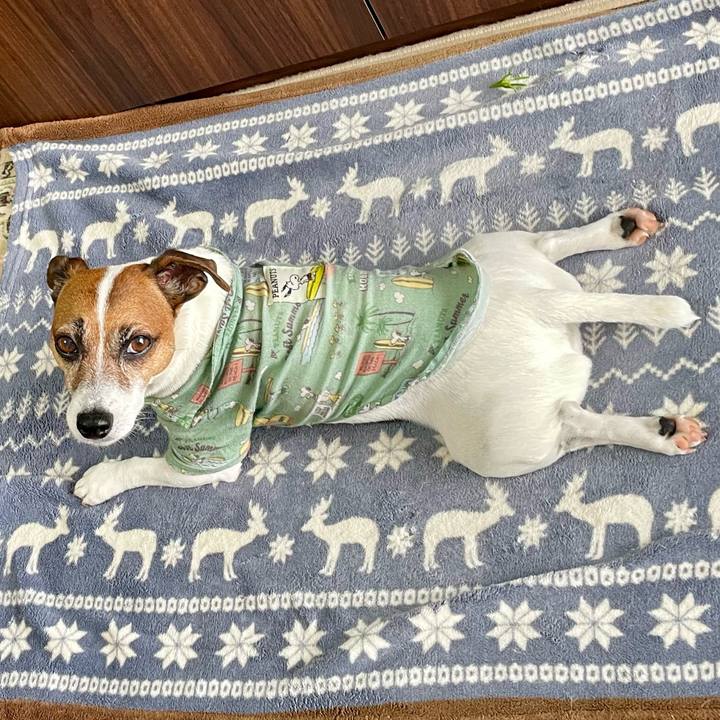 2925130c 138d 41d6 bc25 bbf97c8e88e2 1749686471930