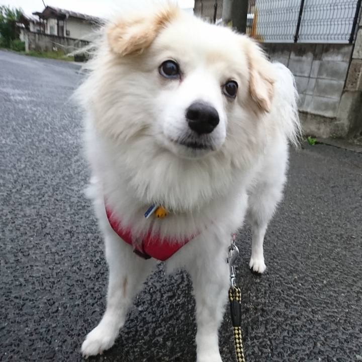 29251921 b5f2 456c 9501 e1575ae61fdb 1536527963401