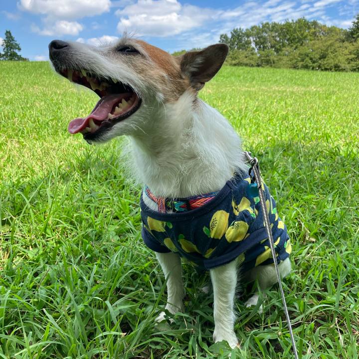 2925429f aea6 4916 bda7 d5e60a723fae 1662938584136