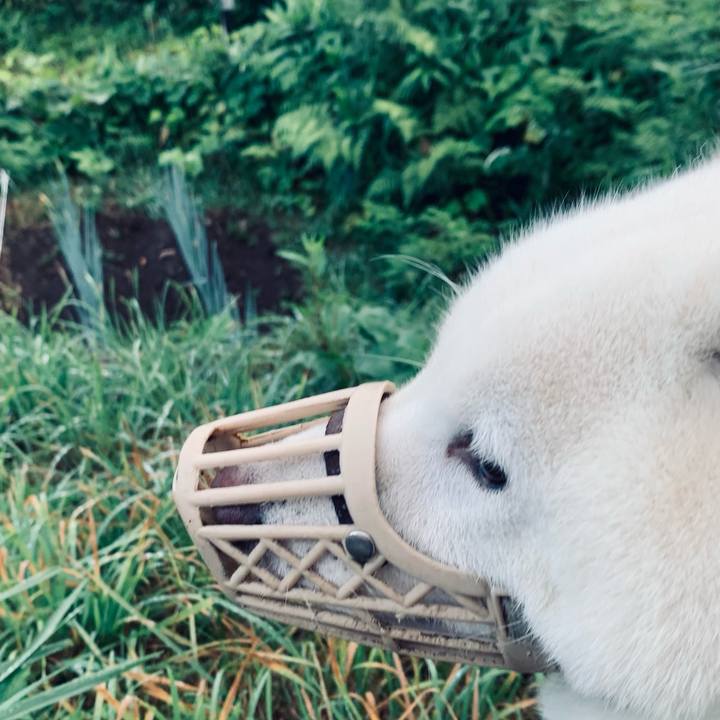 29254e1e 7736 46c4 9408 548277d5fdcb 1628713412012