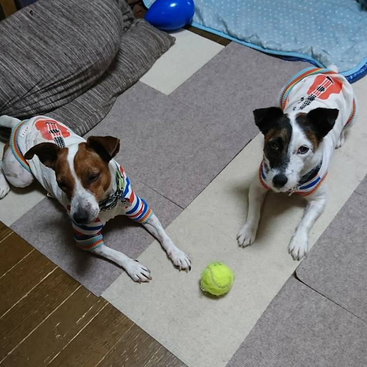 2925a679 8779 45f1 863e 62ba89d15672 1594678799434