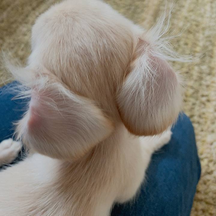 2925ad26 af4e 4bcd a817 28dc20aa4ff4 1591942792477