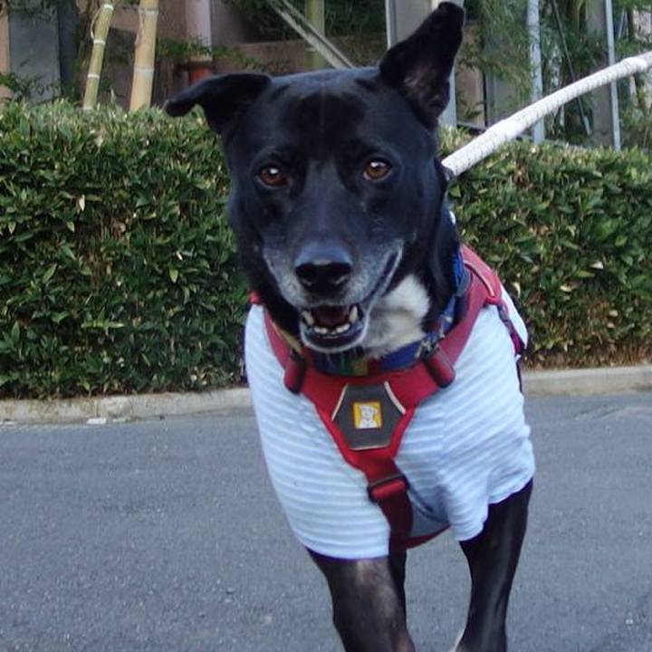 29261e8d 85c0 40b5 93e0 48212609b1dc 1674005554087