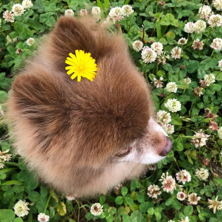 29262ebd e2ee 4567 828b 70db72fa4ba9 1624502665056