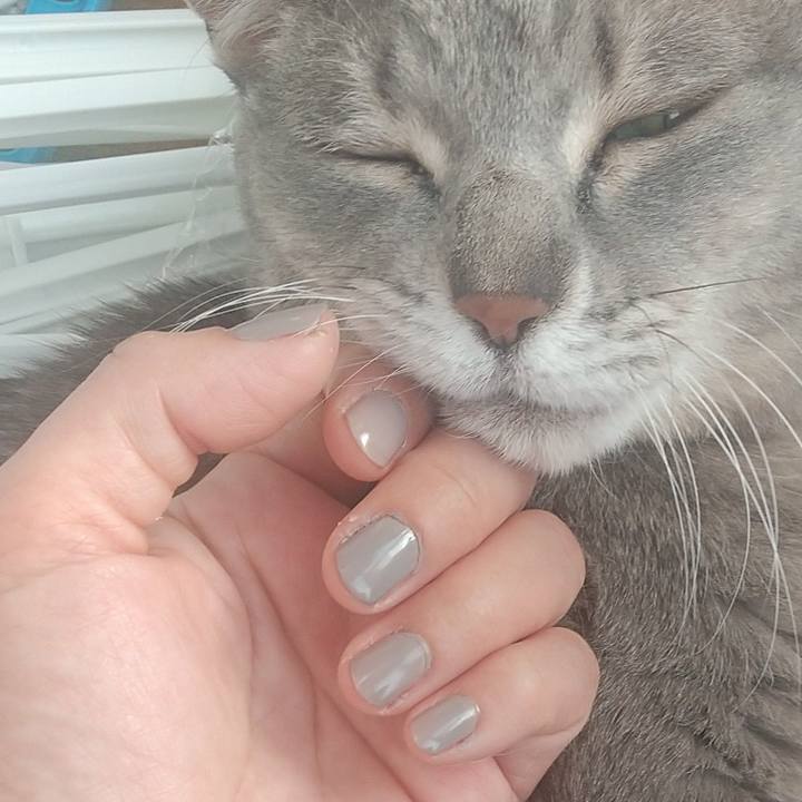 2926301e 56ea 4d51 8f5e 2ca519d2f5f7 1613261494193