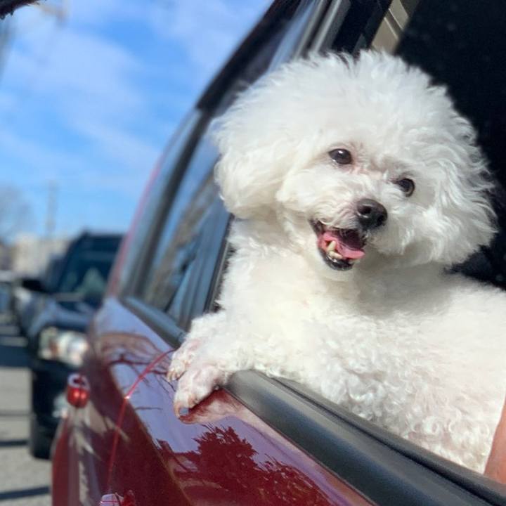 292632c3 999c 48c8 a0fc 2060a48db836 1580100144193