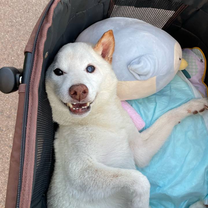 29264988 a7f5 4be4 bd30 07189d1681e1 1666521675589