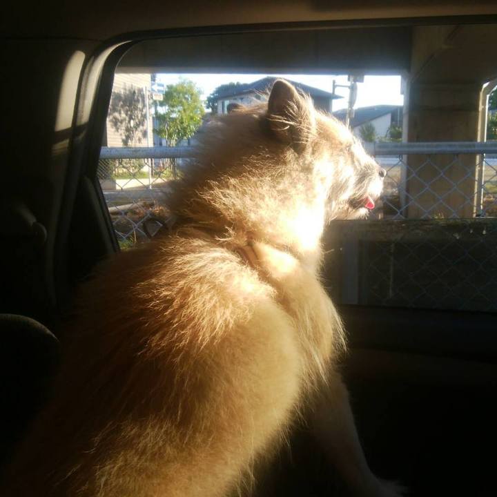 29266a8c 8b57 4794 bcfa a02786bc6df7 1571052632812