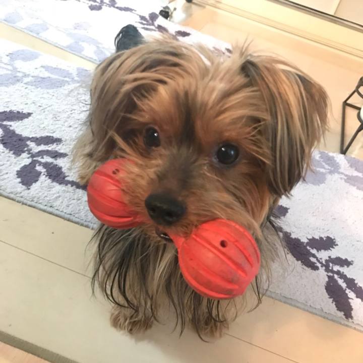 2926bd03 2fb5 4bc1 adcd 458323b5136d 1518048540532