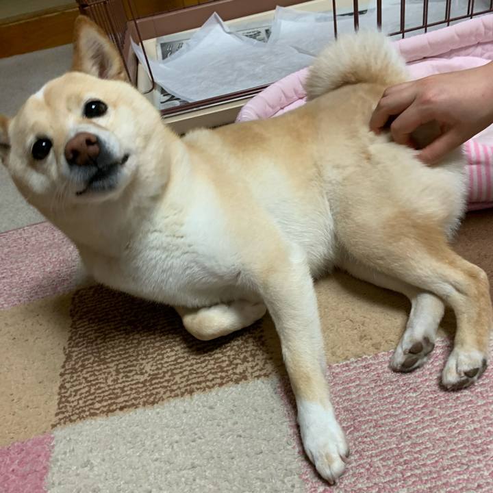 2926e56e f7df 4e8f bcbd d5901fae591e 1622203847852