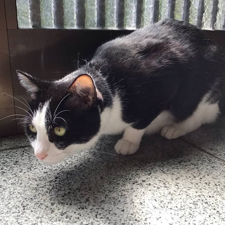 29272d96 001f 43e0 8437 854cfaecfb27 1758710367772