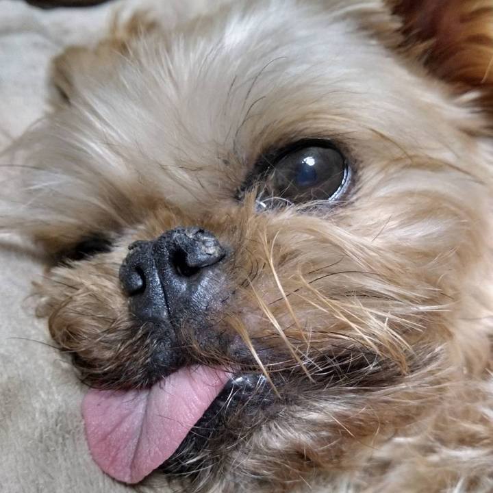 2927599b 2051 4741 8743 92e852c38626 1606833782066