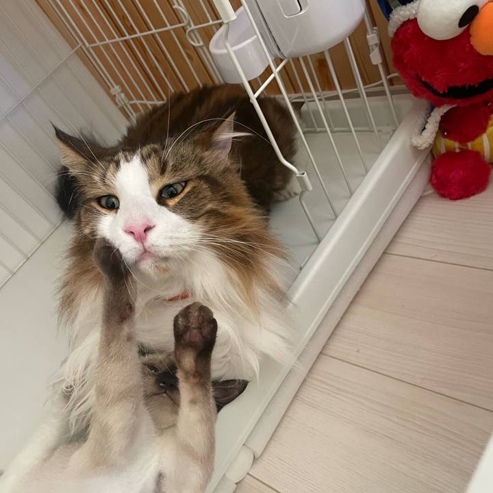 29278306 c260 4da2 a30e fdc71e3a1959 1692829107350