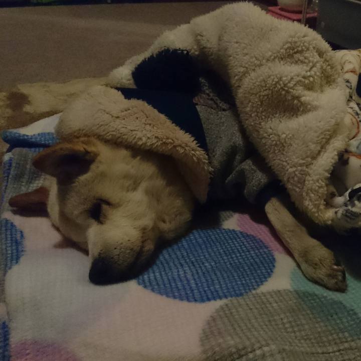 292792ed 93e2 497e 96dc 8302ffc5fce9 1518652344821