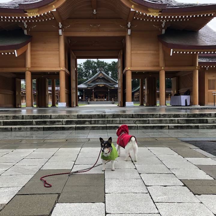 2927dae9 a453 4e8e 8d14 79d03792ffae 1569714940404