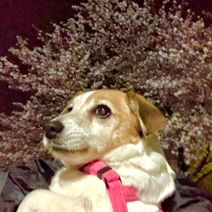 2927eb25 112a 430a 9673 8539567e8ff1 1712583358956