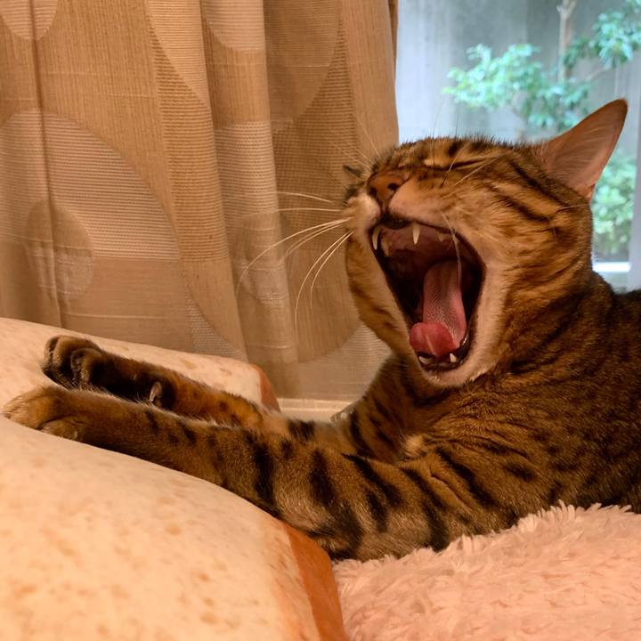 2927f796 2386 4c94 ae56 978ddb9723e3 1597455280326