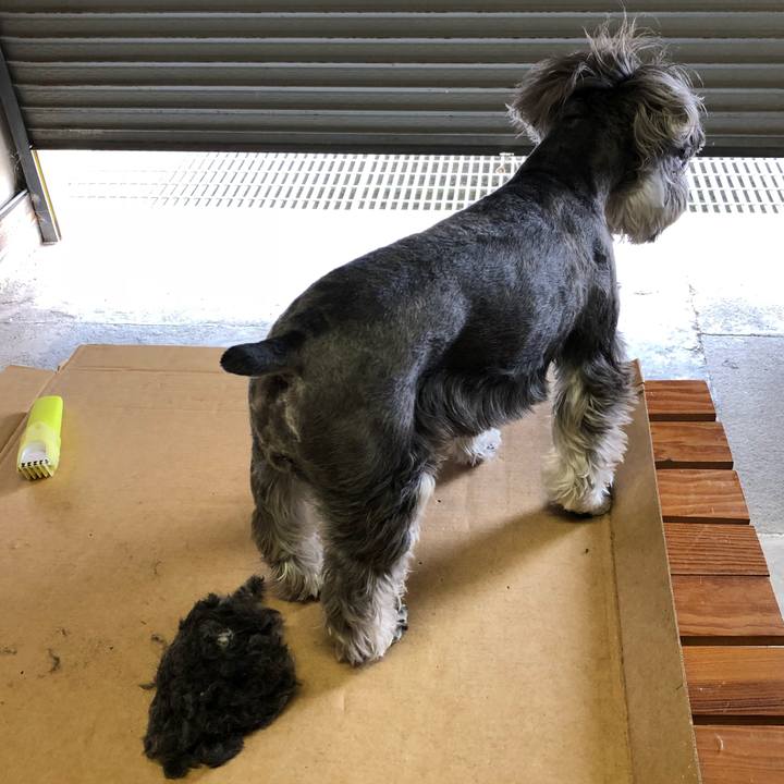 2928151d 720f 49c8 bf4c 04ea68c5a9da 1527942202501