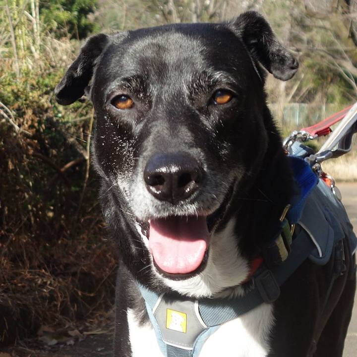 29281f00 19b4 4cf2 a4e2 4571be81811f 1710723569745