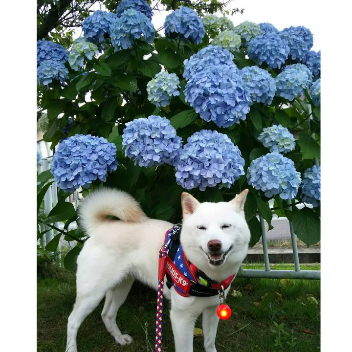 29282a7a 6434 4962 9b60 52a373b10357 1593079668138