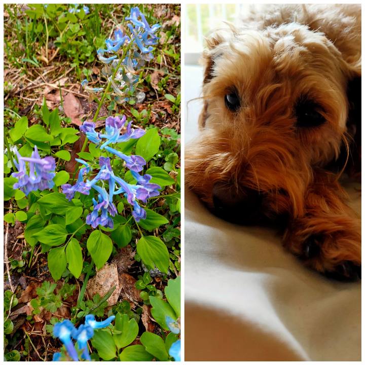 29283cdc 9789 4f3a b9c3 c8ebf594a8ec 1588637520625