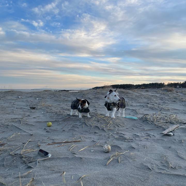 2928a378 d72e 4b17 b711 cde58bc57585 1768000777395