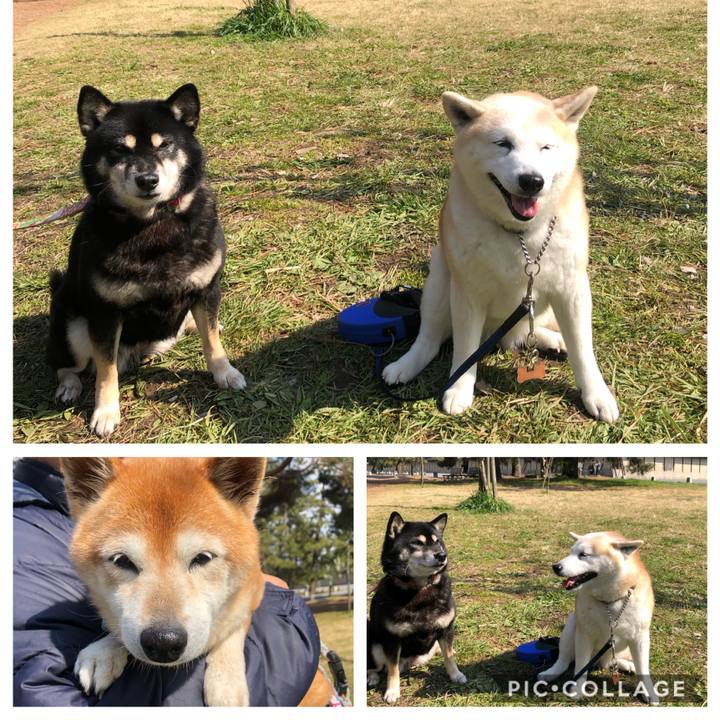 2928a8ae 9d1f 4bb7 999e 1867585d4347 1584253624166