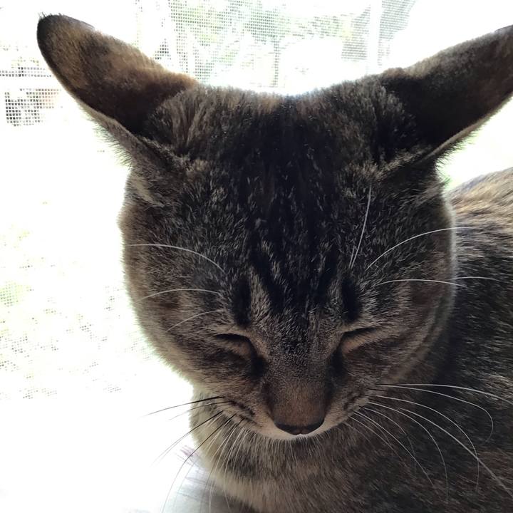 2928fd10 6ce3 4123 98db c48759e6f219 1585977755472