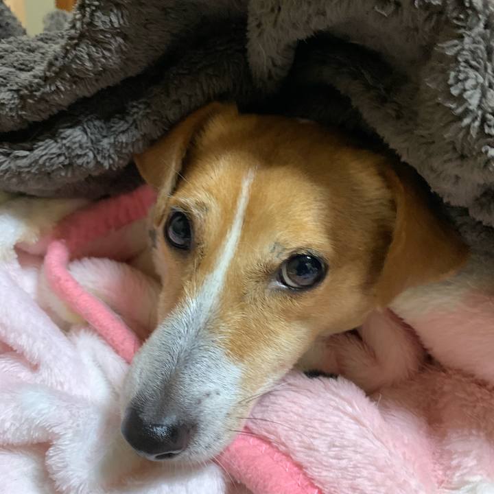 29291cf4 61a2 40ec aa54 f9c6047ef6a4 1608121824096