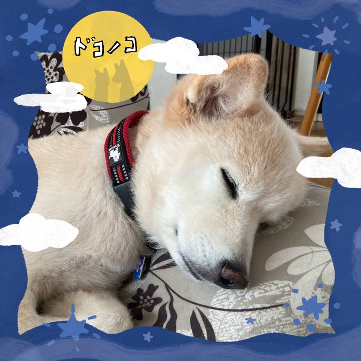 29291d33 458c 47aa a0ec 55d024203a9f 1726882301720