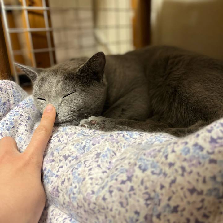 292930c5 3697 4ac7 b806 ea470323f493 1643978586593