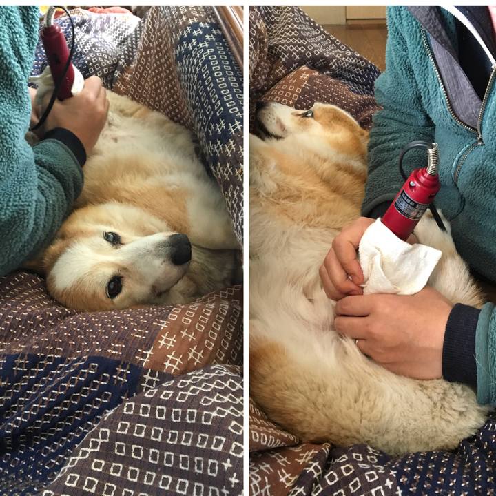 29294a6e c628 42bf 8aae c3b5334c9c09 1548472439150