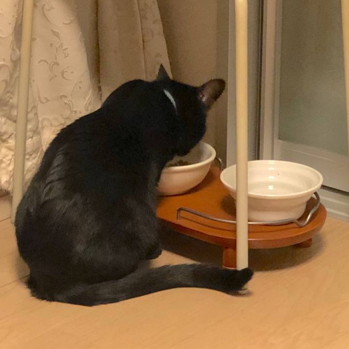 29295280 29a6 45c1 ab8c a09f92deeed1 1576684233961