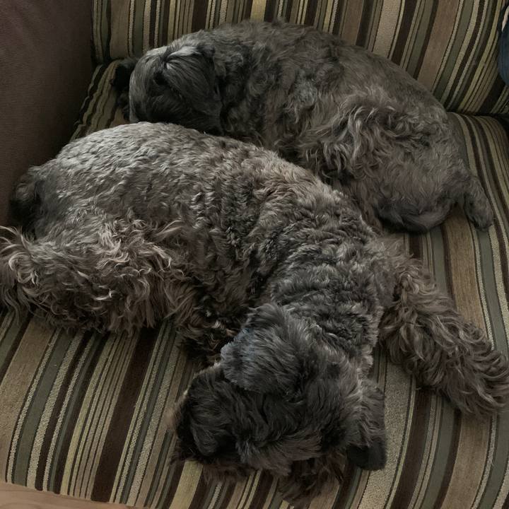 2929e3a2 3e54 467a b436 de3ea49b61e1 1604286970902