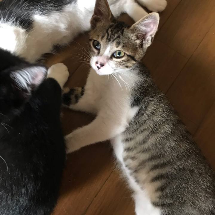 292a2770 46b7 4339 8581 de919558e3ad 1596632142140