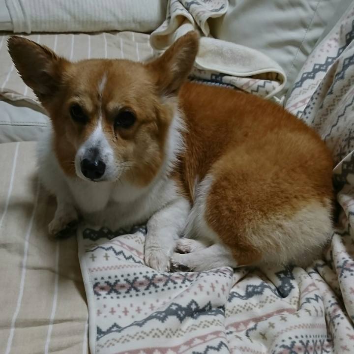 292a4ed2 0012 4a0a 9c9e b458d77e37e7 1549875753799