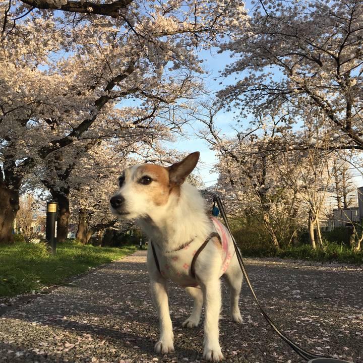 292a6159 a05b 4af1 84ea 82dd8ef83363 1648856629382