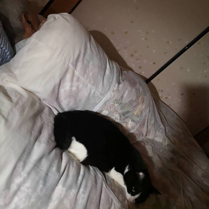 292a718a 5aba 4e36 8439 9387ceb48e9e 1652409902270