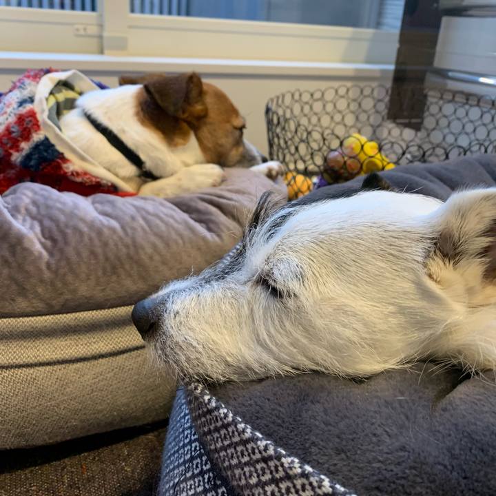 292a8e2a fb04 4592 8315 1bde33a04804 1610436164387