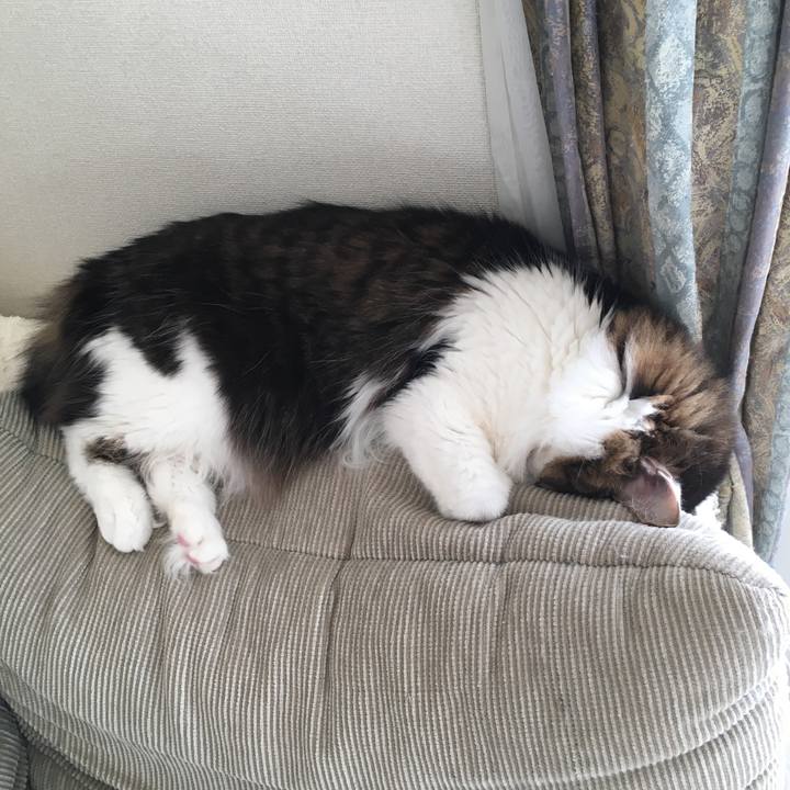 292a9448 5bca 4b08 bf10 729ce62b7292 1545995368502