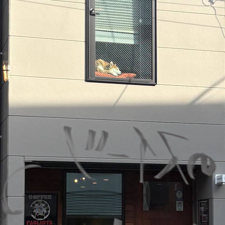 292aa795 1044 43e4 9fda 47b13b997b56 1766475781414