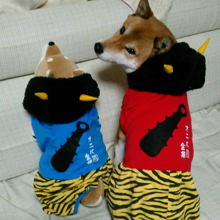 292ab577 997d 4957 b07b 067733981f42 1517629910253