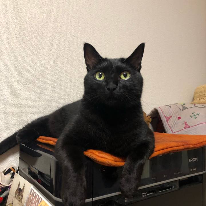 292aecde f03e 4114 821c 7e1fa03e95ff 1564291851917