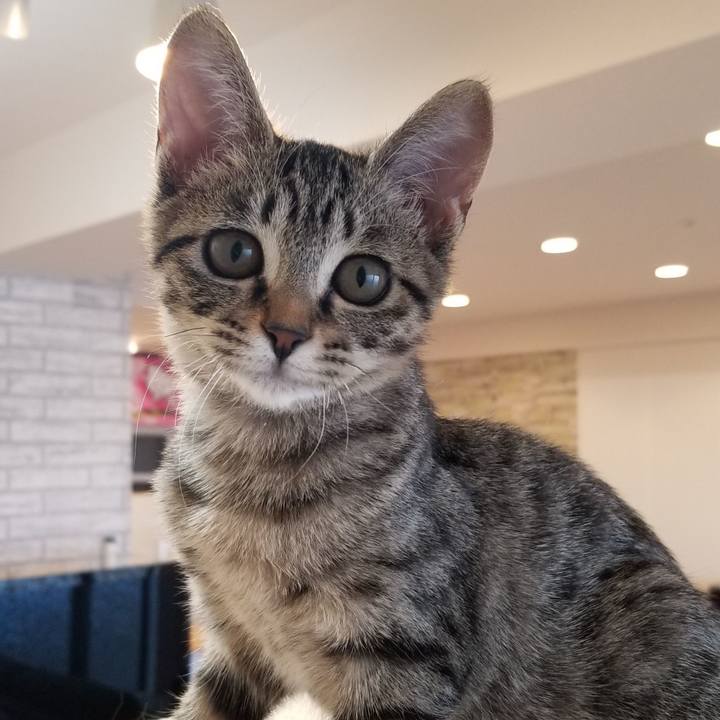 292afd2e c62a 4c7b 993e 9f6d7fee56ec 1538552147928