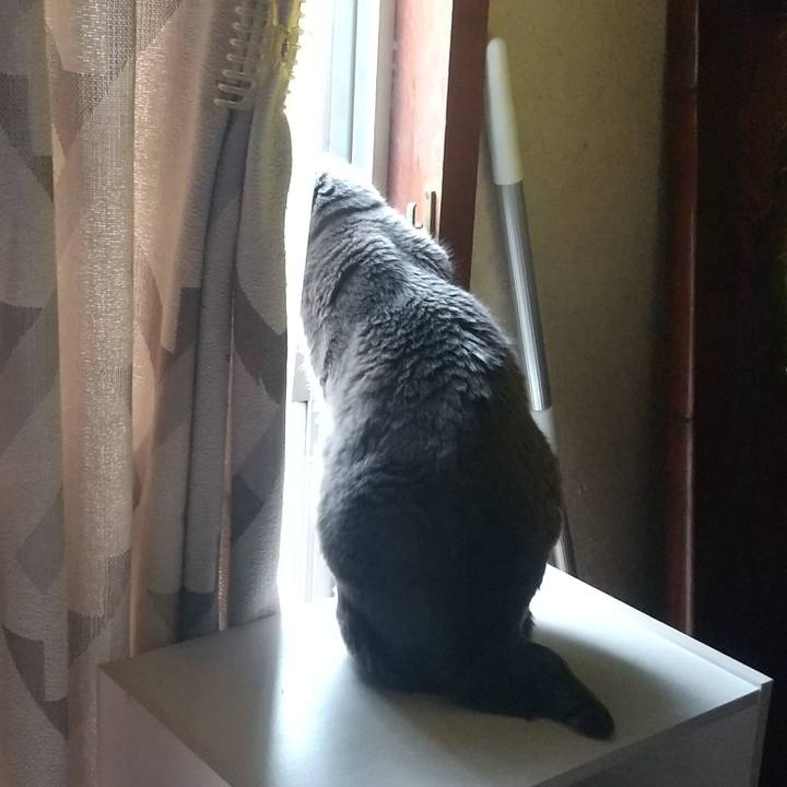 292aff4c 25e9 4cf3 a439 7a76d07529d0 1684018350309