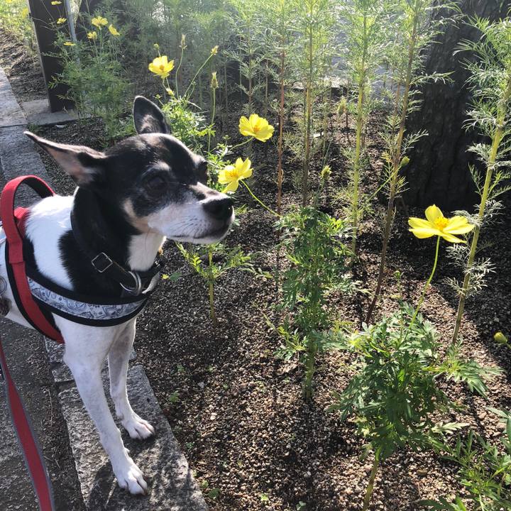 292b355c 80af 4d15 aa6e 8bf590444065 1539410721186